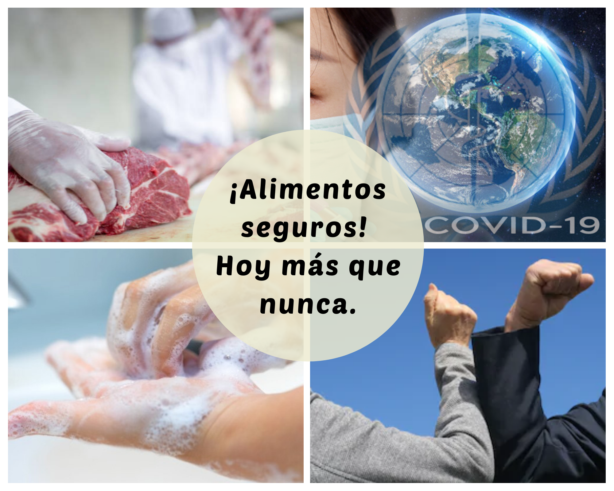 ¡Alimentos seguros! Hoy más que nunca (última actualización 18/09/2020)