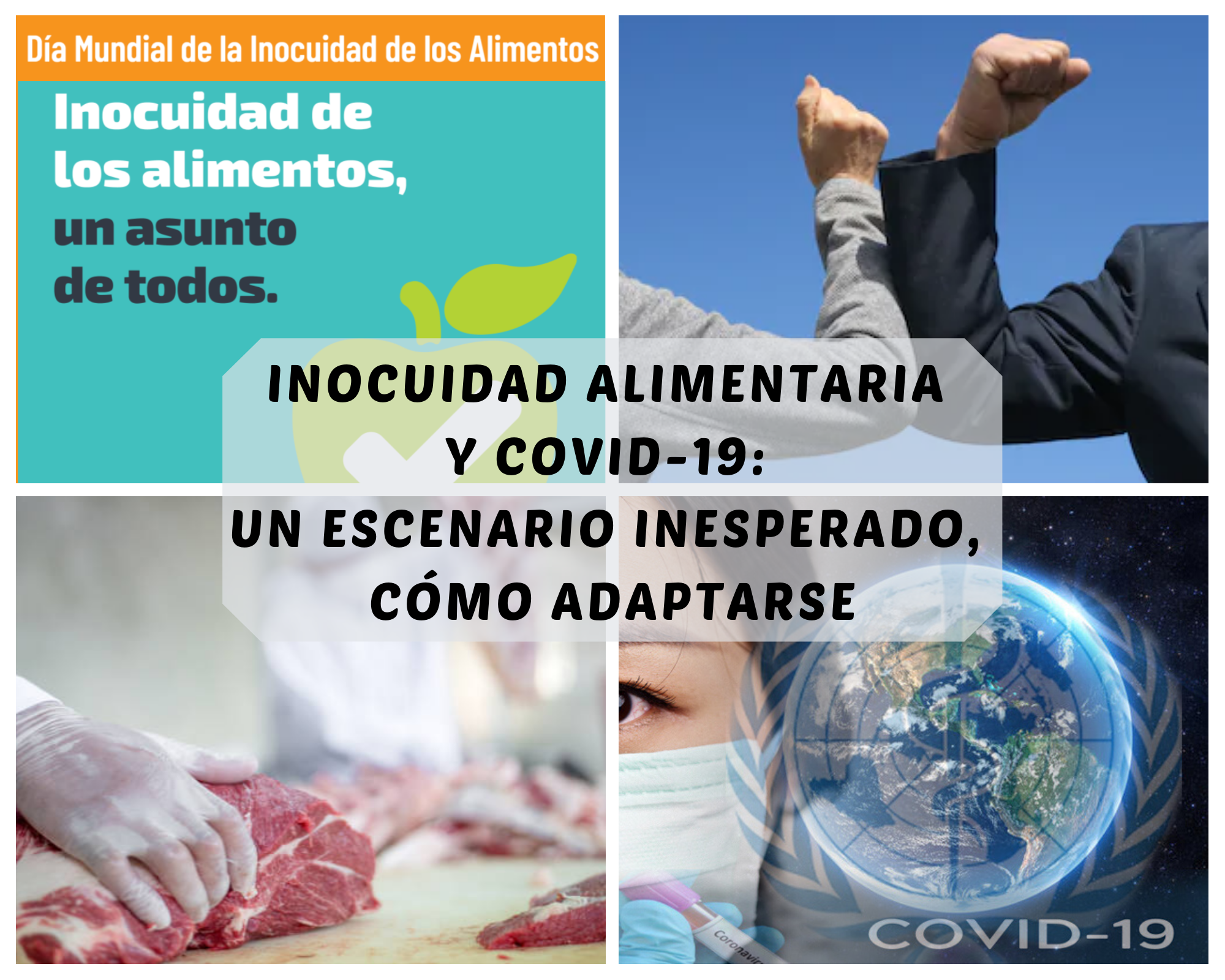 Inocuidad alimentaria y COVID-19: un escenario inesperado, cómo adaptarse